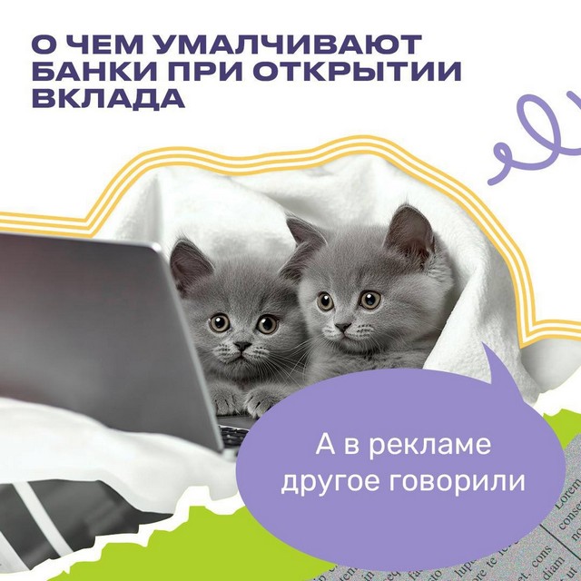 foto 2025 07 17 14 45 001