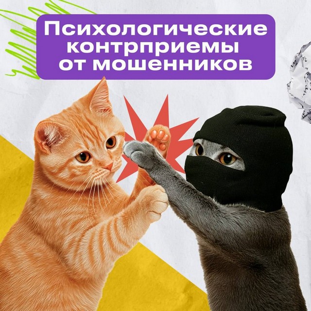 foto 2025 07 17 14 47 001