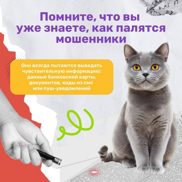 foto 2025 07 17 14 47 004