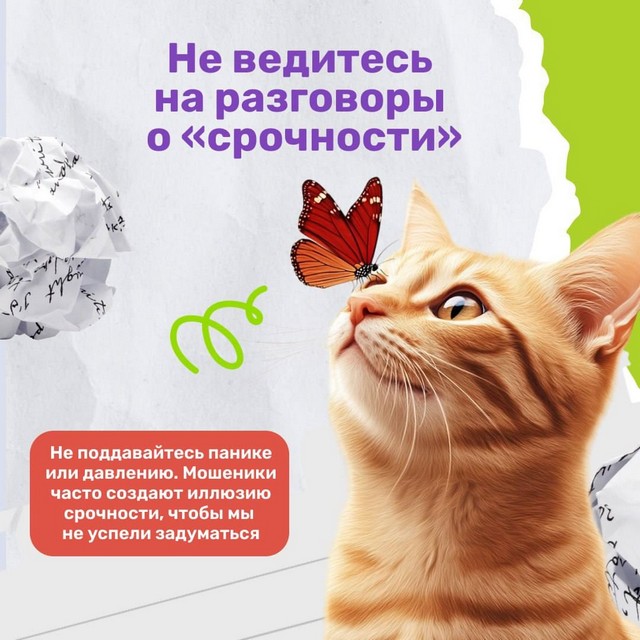 foto 2025 07 17 14 47 005
