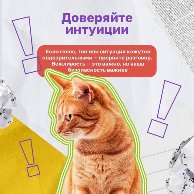 foto 2025 07 17 14 47 006